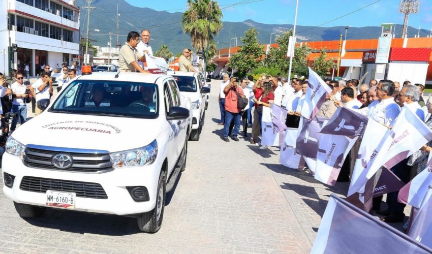 Apoyaremos a productores de sorgo con 270 MDP: Américo