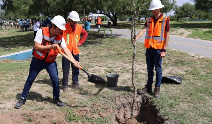 Se unen SEDUMA y estudiantes para reforestar laguna La Escondida en Reynosa