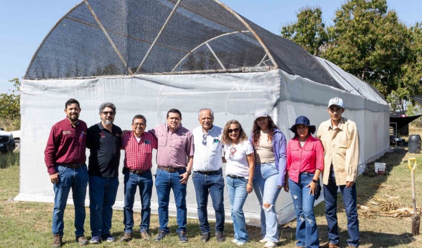 Reciben estudiantes del Instituto Tecnológico Superior de El Mante asesoría en técnicas de sistemas de agricultura protegida