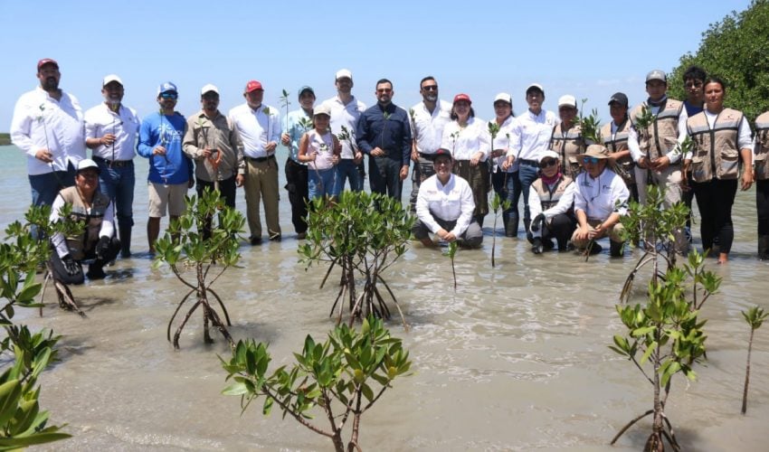 Transforman litoral tamaulipeco  con acciones que protegen y educan