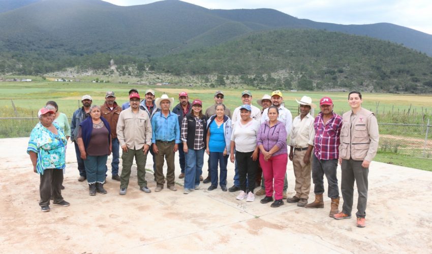 Fortalecen SEDUMA y CONAFOR economía local y conservación ambiental en Miquihuana