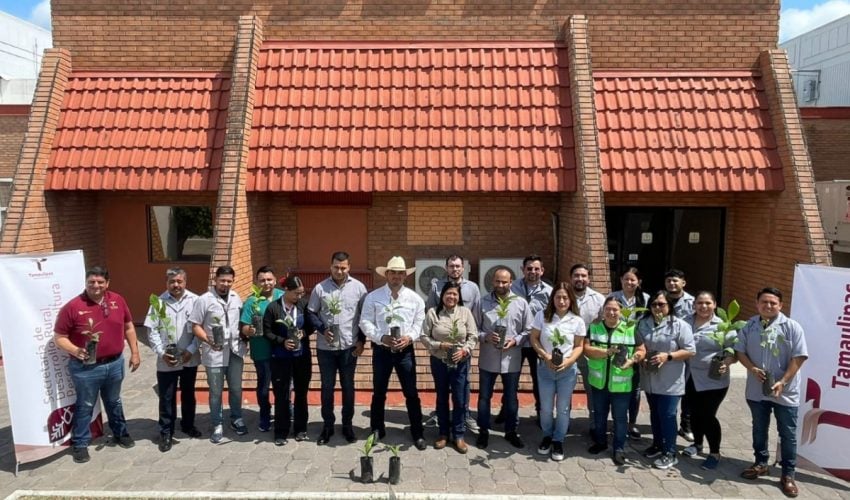Entrega Secretaría de Desarrollo Rural de Tamaulipas 300 plantas para reforestación de áreas verdes