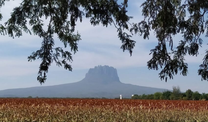 Analiza Tamaulipas estrategias para fortalecer el turismo en comunidades rurales