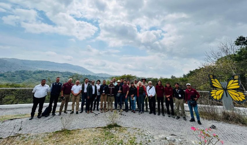 Coordinan estrategia para evitar propagación del gusano barrenador en fauna silvestre