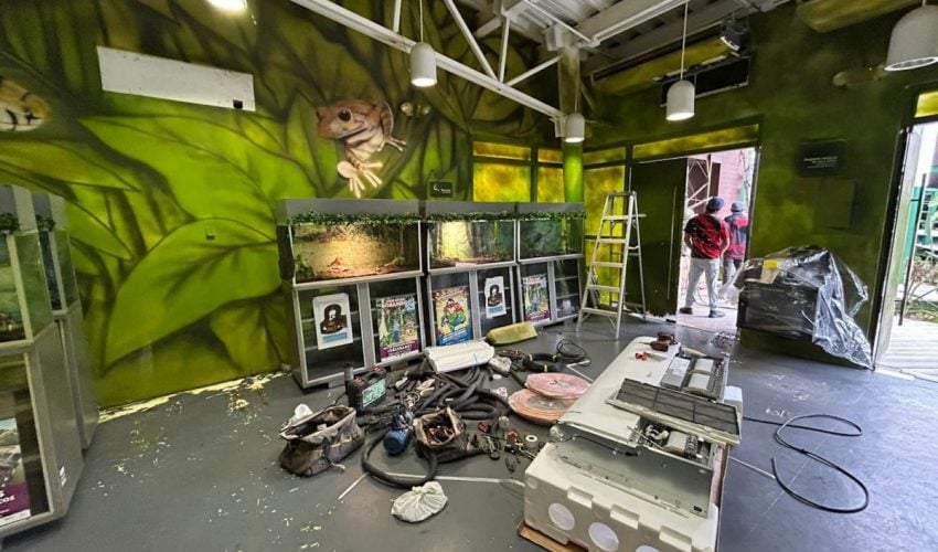 Modernizan el Centro Interpretativo Ecológico de Gómez Farías