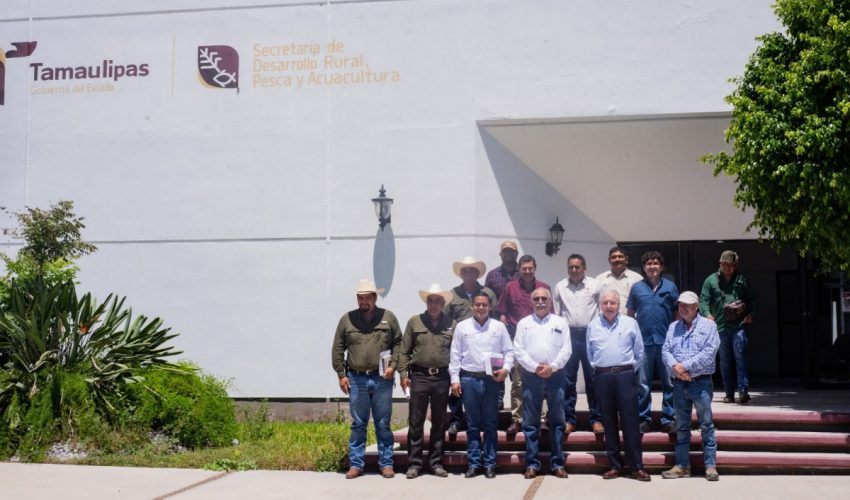 Fortalecen vigilancia fitosanitaria para contener el cancro de los cítricos