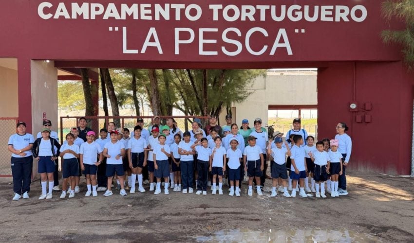 Fortalece Tamaulipas educación ambiental mediante liberación de crías de tortuga lora